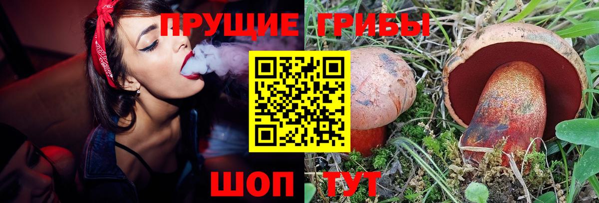 Галлюциногенные грибы MAGIC MUSHROOMS Крымск